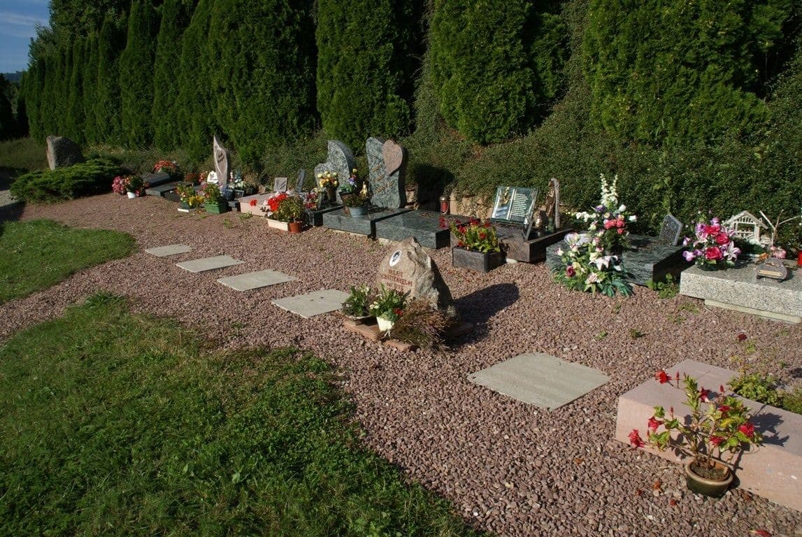 Gallery image 5