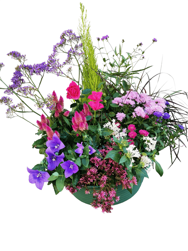 Coupe de plante petit modèle