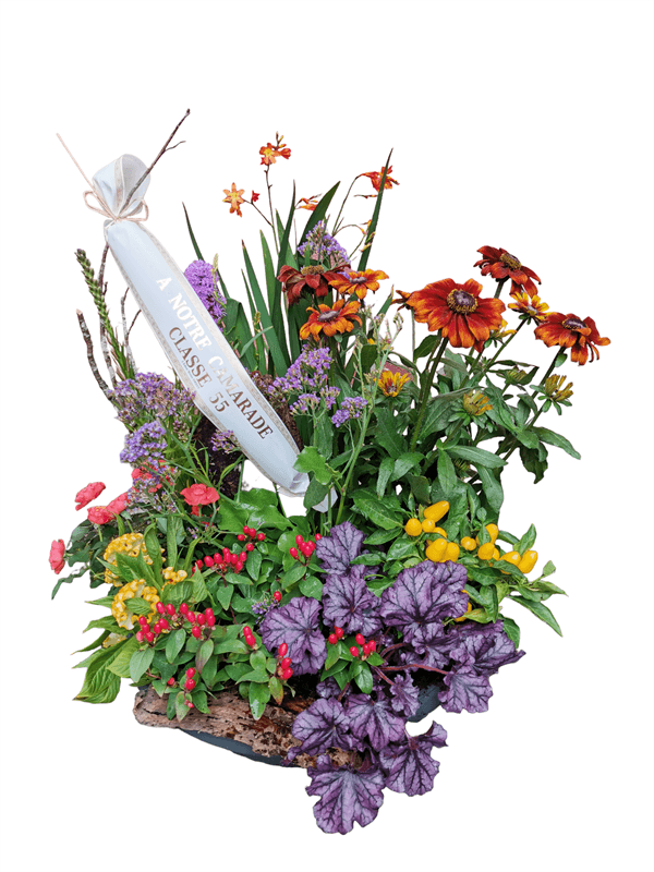 Coupe de plantes grand modèle avec ruban